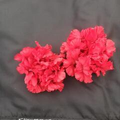 フラグッズ　ハワイアン　フラダンスの画像