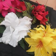 フラグッズ　ハワイアン　フラダンスの画像