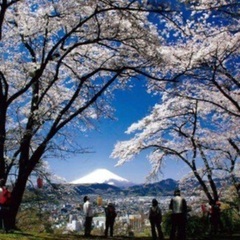 4/14(日)弘法山ハイキング同行者募集！！