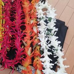 フラグッズ　ハワイアン　フラダンス　レイの画像