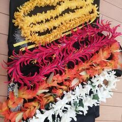 フラグッズ　ハワイアン　フラダンス　レイ