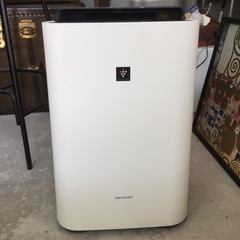 目玉商品 SHARP プラズマクラスター 空気清浄機