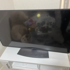 家電 テレビ 液晶テレビ