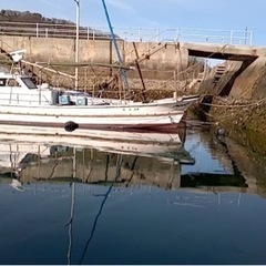 中古ボート、船】ヤマハ、エンジン：イスズ 200馬力