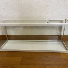 受け渡し者様が決まりました。GEX６０ｃｍスリム水槽（ガラス蓋付）