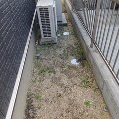 小学生でもできる草抜き