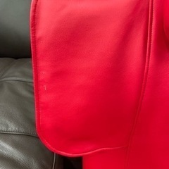 骨盤ストレッチチェア MTG PlimupEX 赤の画像