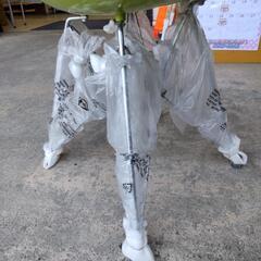 不二貿易 リプロダクトチェア 椅子 緑 グリーンの画像