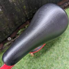 【正規品・元箱・取説あり】ストライダー STRIDER D629 049 レッド REDの画像