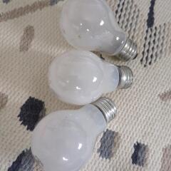 シリカ電球１２個の画像