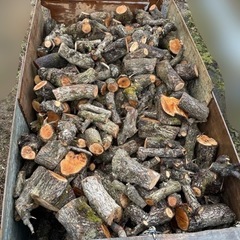 梨の木　薪　玉切り　⑨