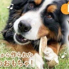 犬用おもちゃ「鹿のおとしもの」