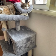 ぽん太くん※費用はいただきません − 埼玉県