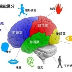 【実技教科専門】塾