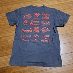 Tシャツ 160の画像