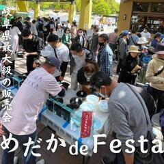 4/14日(⁠日)めだかdefesta‼️岐阜県最大級のメダカ即...