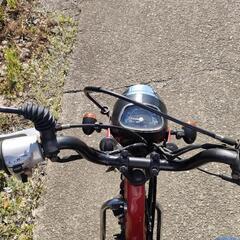 ハンターカブ110(CT110)カスタム車 走行12533km 即納車可能の画像