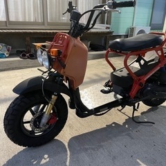 　ホンダ　ズーマー　　①の画像