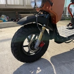 　ホンダ　ズーマー　　①の画像