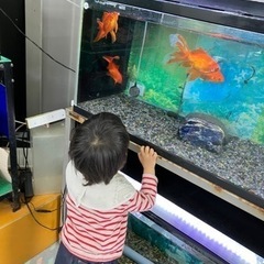 ママ友が欲しいです！