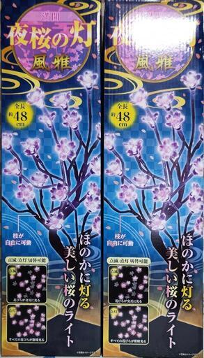 ほのかに灯る 美しい桜のライト 満開 夜桜の灯 風雅
