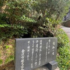 14日にお花見🌸ウォーキングしましょうー！😊🎶 - 金沢市