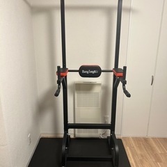 スポーツ フィットネス、トレーニング懸垂機