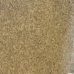メダカ　エサ ライズ2号 成魚〜幼魚　高栄養の定番の画像