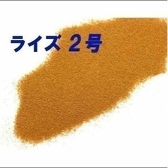 メダカ　エサ ライズ2号 成魚〜幼魚　高栄養の定番