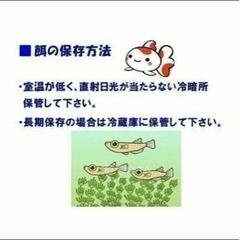 メダカ　エサ ライズ2号 成魚〜幼魚　高栄養の定番の画像