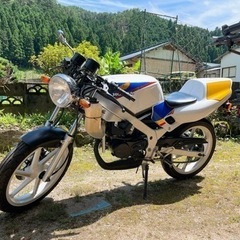 【要相談】NS-1 部品取り用ジャンク品【ホンダ】