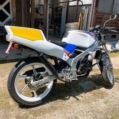 【要相談】NS-1 部品取り用ジャンク品【ホンダ】の画像