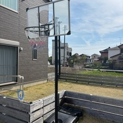 スポーツ バスケットボール