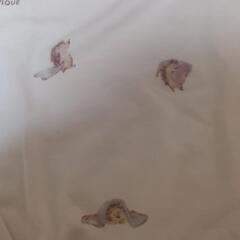 ジェラートピケの画像