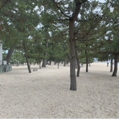 ⛱️2024年5月3日(金)㊗️大浜海水浴場にてビーチヨガ開催🧘‍♀️の画像