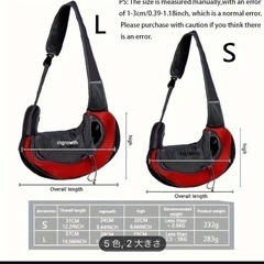 犬のバック！の画像