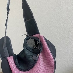 犬のバック！の画像