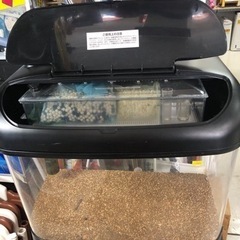 🌺値下げしました🌺水槽60cmの画像