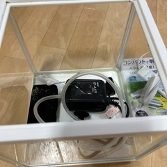 水槽セット