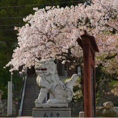 松江で哲学カフェを開催したい！ - 松江市