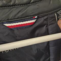 Tommy Hilfiger ダウンの画像