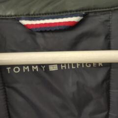 Tommy Hilfiger ダウンの画像
