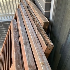 ラティスの画像