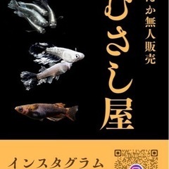 めだか　無人販売