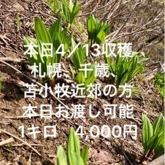 生活雑貨 家庭用品 ガーデニング