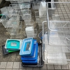 飼育ケース、大きさ色々、まだ在庫あります。
