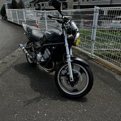 バリオス 1型