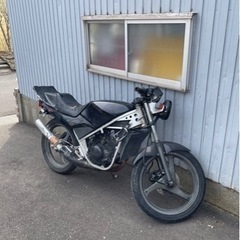 RG50Γ WOLF50 ガンマ50  書類あり　の画像