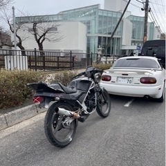 RG50Γ WOLF50 ガンマ50  書類あり　の画像