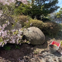 庭石　(大小各種)